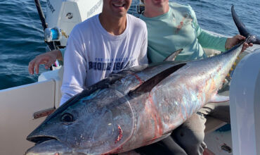 Cape Cod Bluefin Tuna